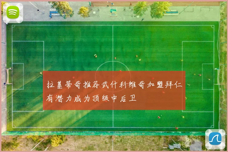 拉基蒂奇推荐武什科维奇加盟拜仁有潜力成为顶级中后卫